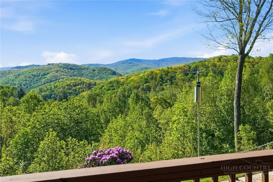 394 Hummingbird Lane, Elk Park, NC 28622 - #3