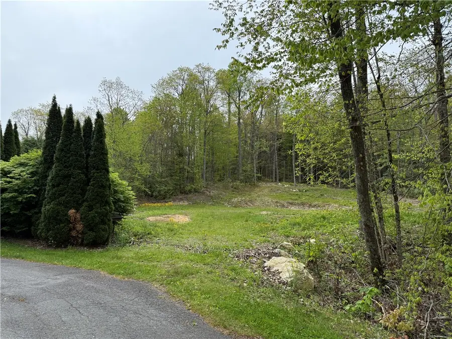 287 Cougar Run, Linville, NC 28646 - #2