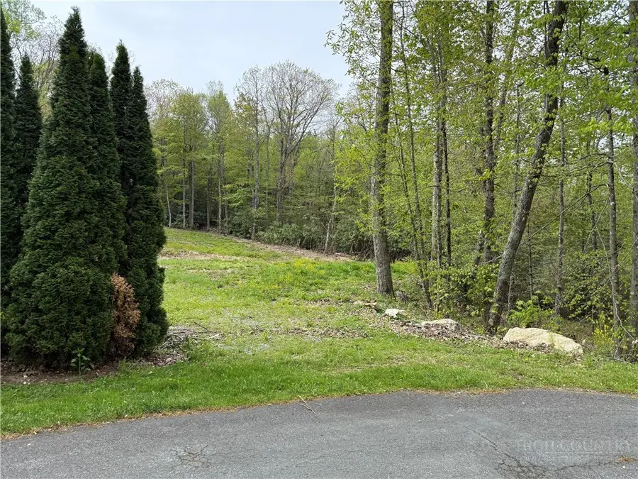 287 Cougar Run, Linville, NC 28646 - #3