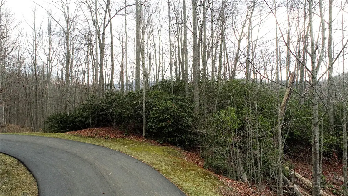 Lot 324 Twin Rivers Drive, Boone, NC 28607 - #1