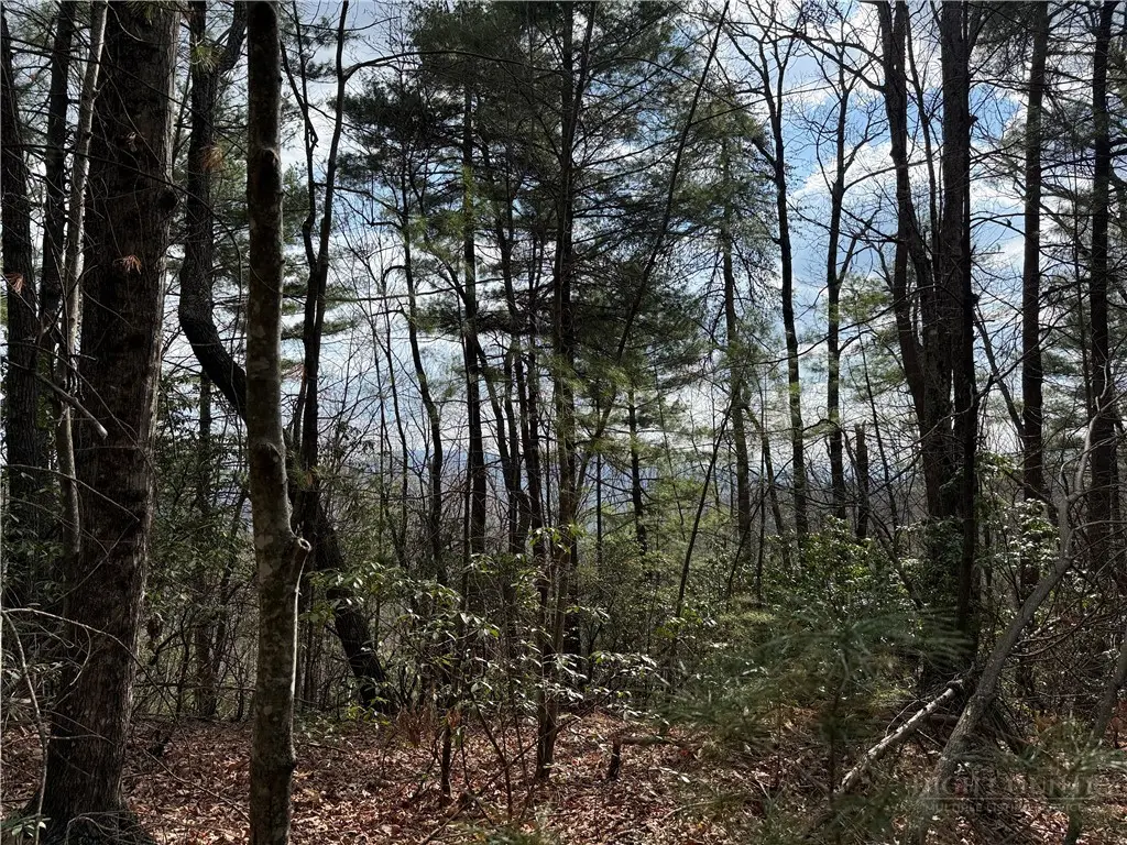 Lots 51 & 52A Staghorn Road, Purlear, NC 28665 - #1