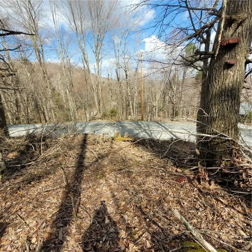 134-136 Wild Daisy Lane, Beech Mountain, NC 28604 - #1