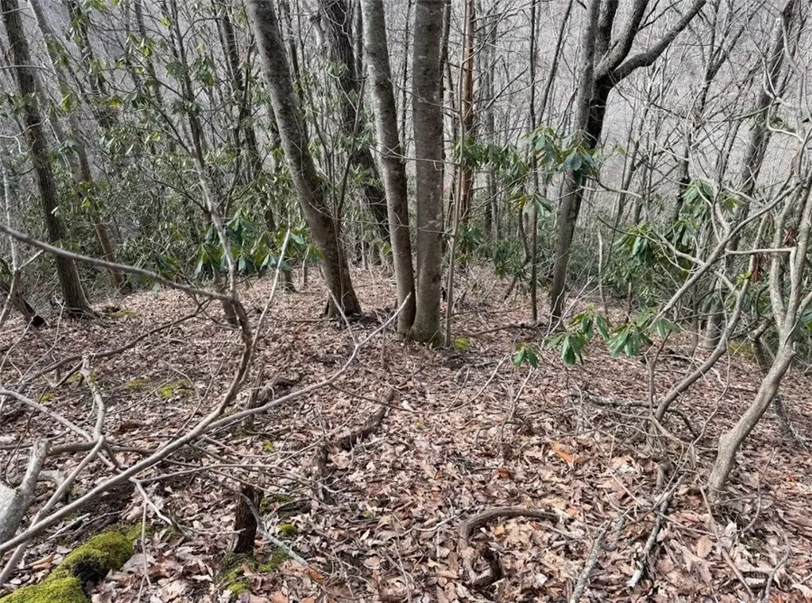 2.13 Acres Big Ridge Road, Bakersville, NC 28705 - #2