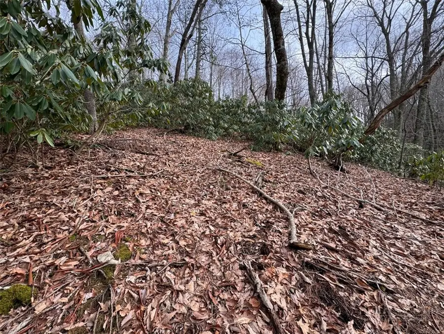 2.13 Acres Big Ridge Road, Bakersville, NC 28705 - #3