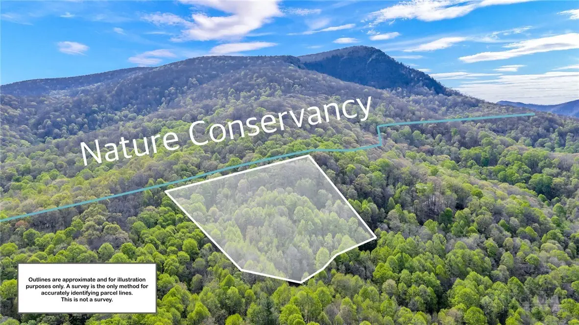 TBD Bluff Canyon Drive, West Jefferson, NC 28694 - #1