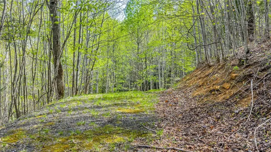 TBD Bluff Canyon Drive, West Jefferson, NC 28694 - #2