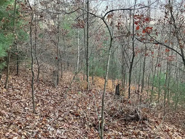 TBD Old Deer Trace Road, Boone, NC 28607 - #3