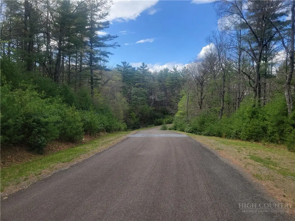 TBD Pine Chase, Glade Valley, NC 28627 - #1