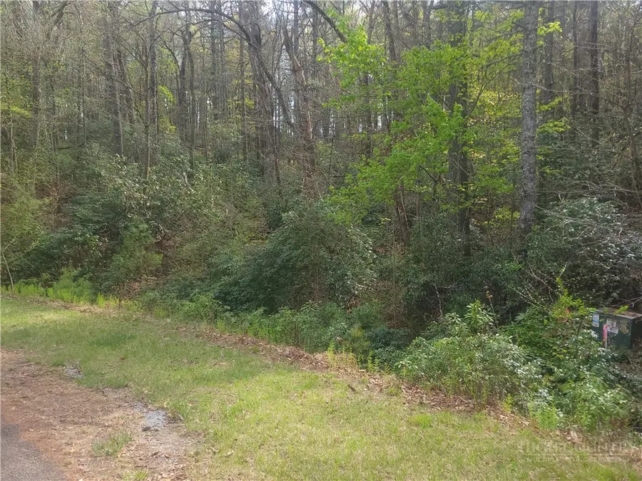 TBD Pine Chase, Glade Valley, NC 28627 - #2