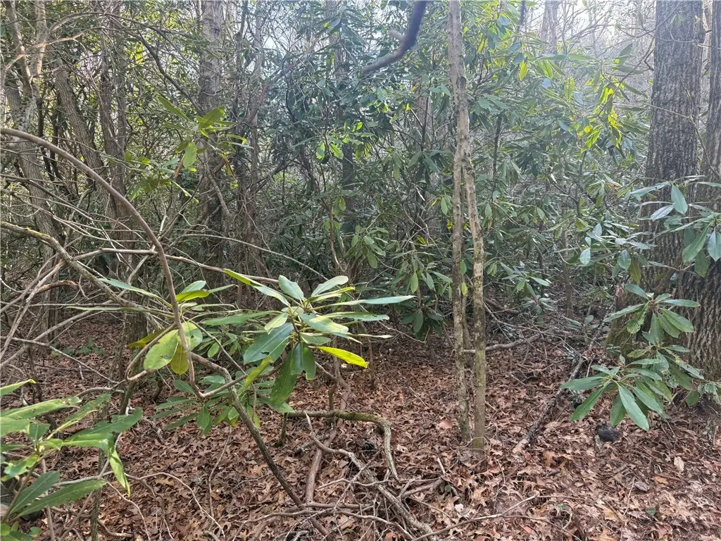 TBD Huckleberry Knob Lane, Newland, NC 28657 - #1