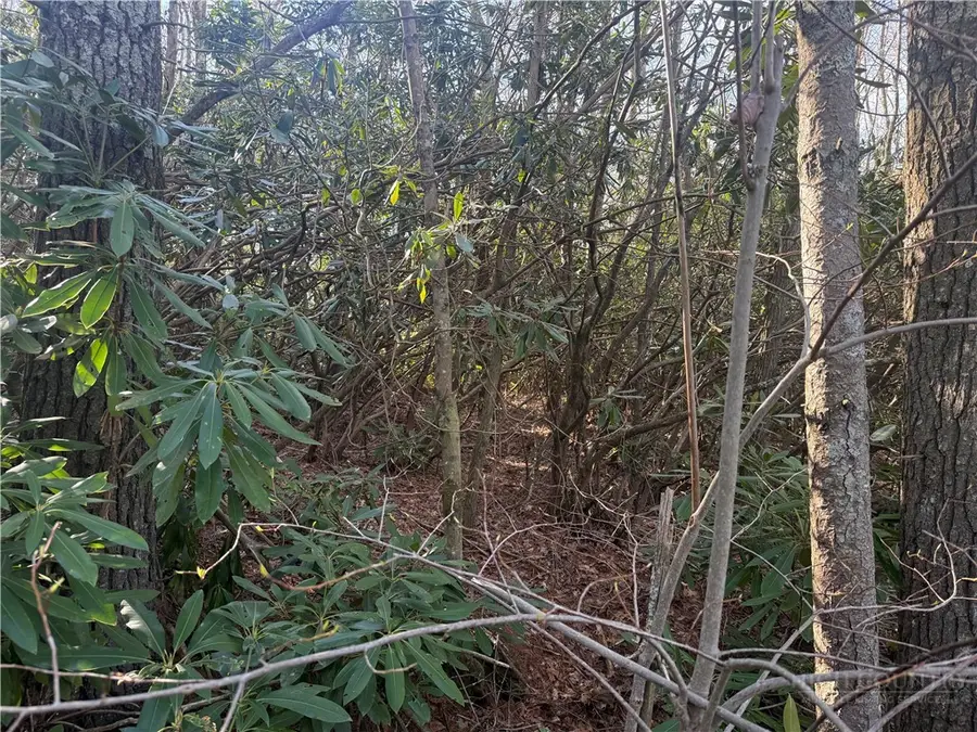 TBD Huckleberry Knob Lane, Newland, NC 28657 - #2
