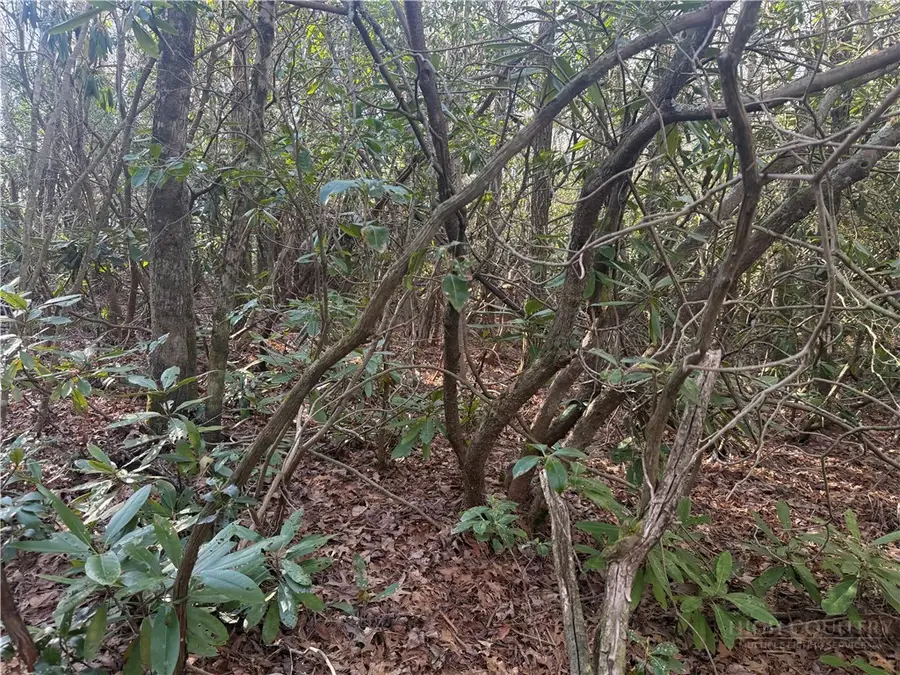 TBD Huckleberry Knob Lane, Newland, NC 28657 - #3