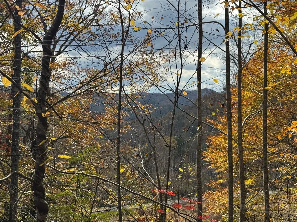 TBD Globe Road, Lenoir, NC 28645 - #1