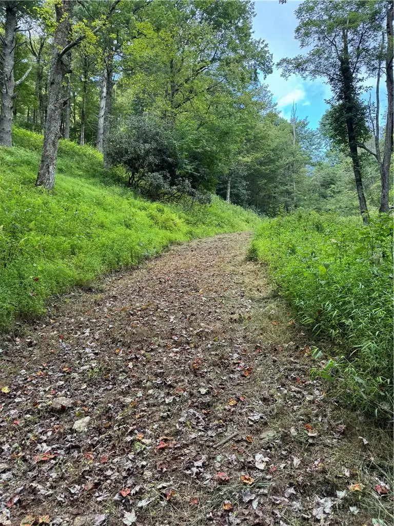 TBD Wyeth Drive, Blowing Rock, NC 28605 - #3