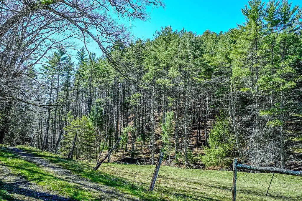 TBD Hot Rod Road, Stony Fork, NC 28618 - #1