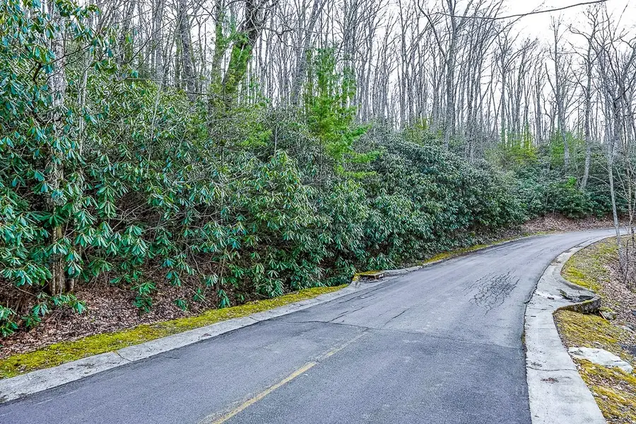 LOT B-39 Puddingstone Parkway, Banner Elk, NC 28604 - #3