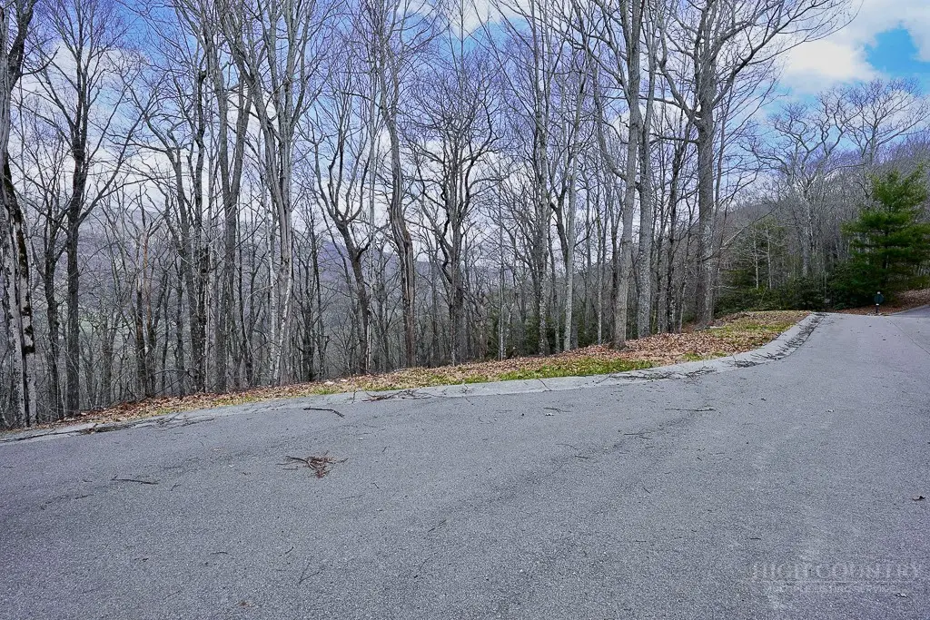 TBD Lot #46 Woodlily Drive, Banner Elk, NC 28604 - #1