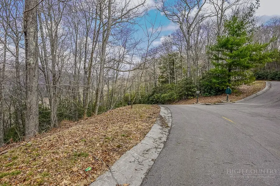 TBD Lot #46 Woodlily Drive, Banner Elk, NC 28604 - #2