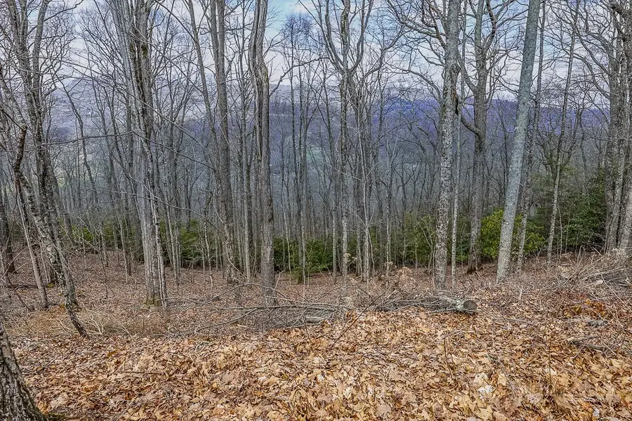 TBD Lot #46 Woodlily Drive, Banner Elk, NC 28604 - #3
