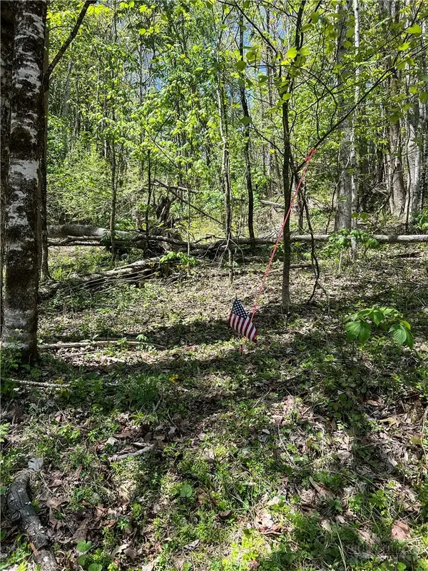 Lot# 34 Buckeye Creek Road, Banner Elk, NC 28604