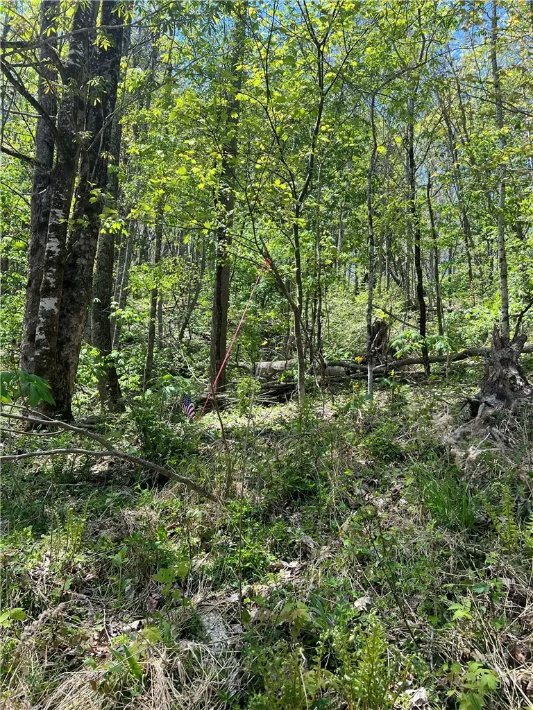 Lot# 34 Buckeye Creek Road, Beech Mountain, NC 28622 - #2