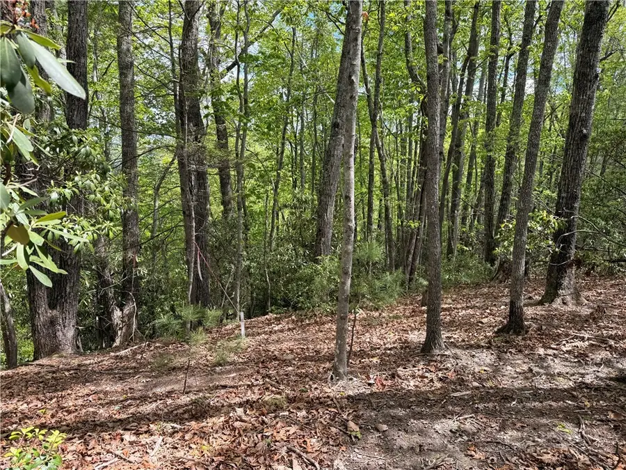 TBD Elk Ridge Road, Deep Gap, NC 28618 - #2
