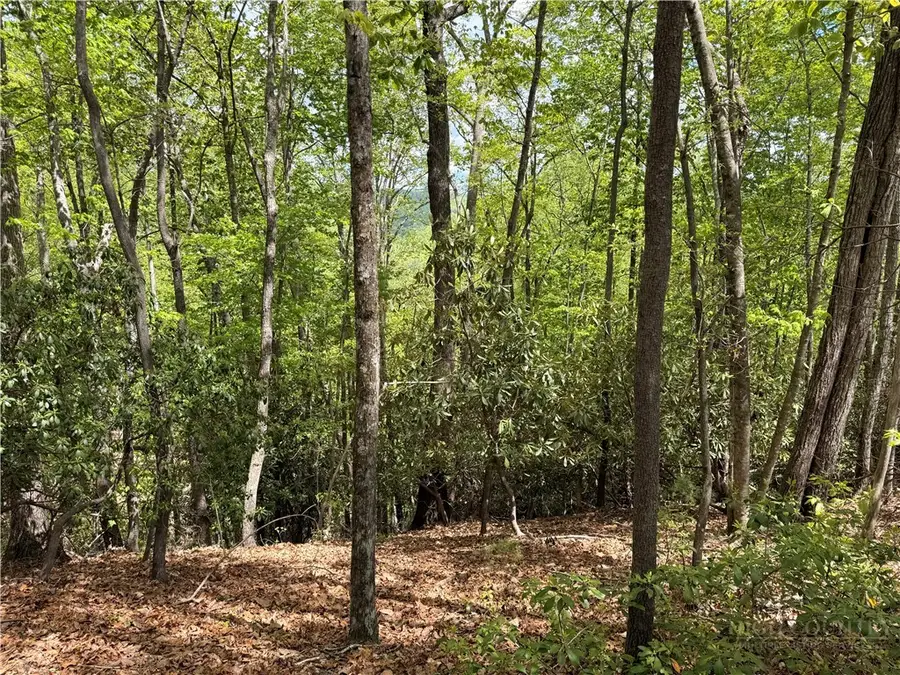 TBD Elk Ridge Road, Deep Gap, NC 28618 - #3