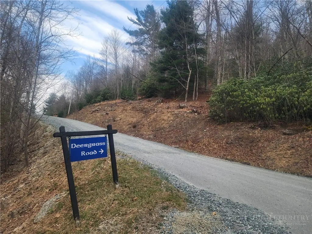 100 Deergrass Road, Beech Mountain, NC 28604 - #1