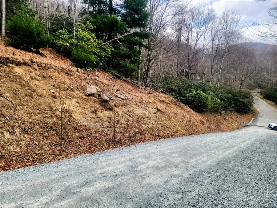 100 Deergrass Road, Beech Mountain, NC 28604 - #2