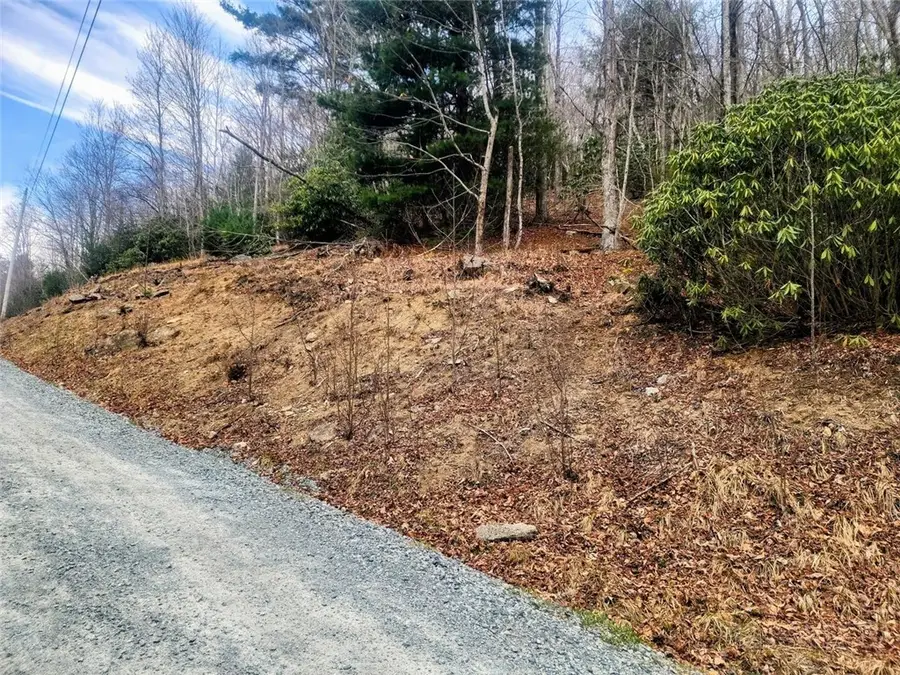 100 Deergrass Road, Beech Mountain, NC 28604 - #3