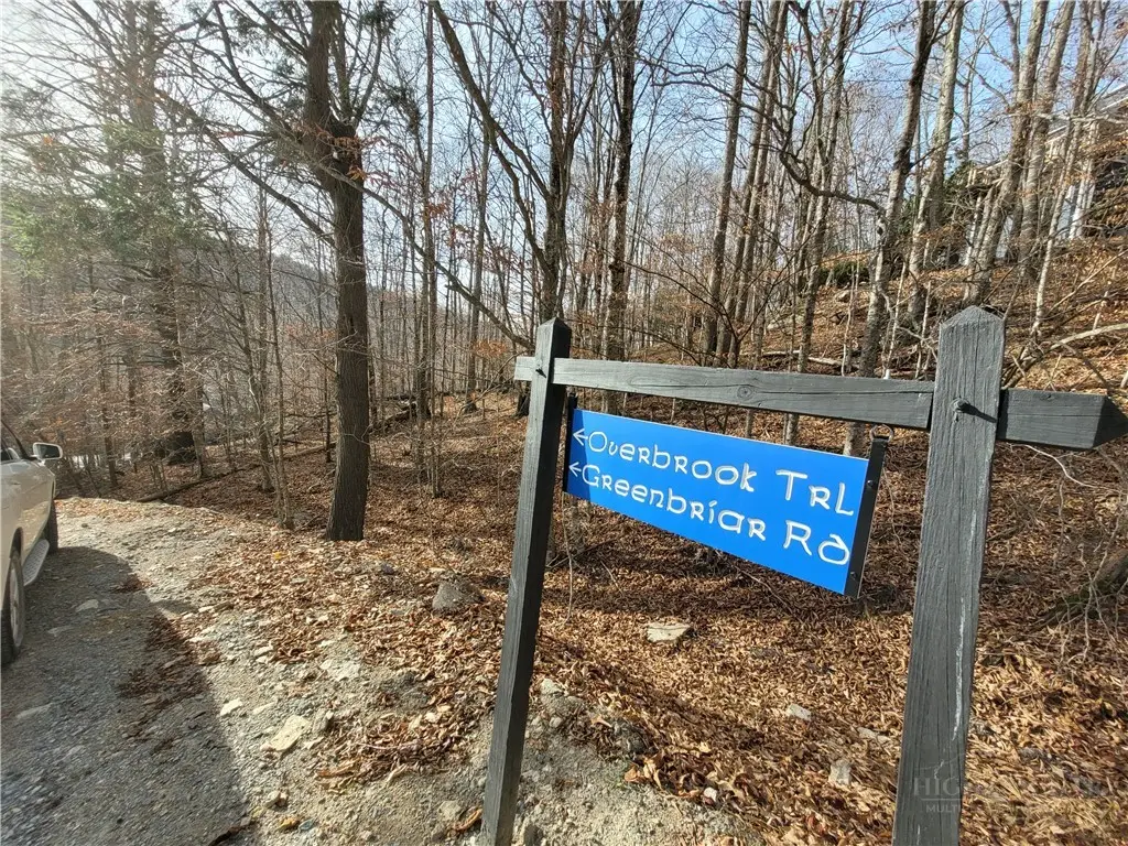 311 Overbrook Trail, Beech Mountain, NC 28604 - #1