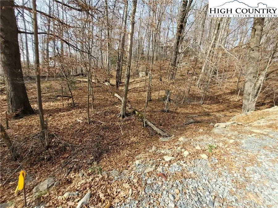 311 Overbrook Trail, Beech Mountain, NC 28604 - #3