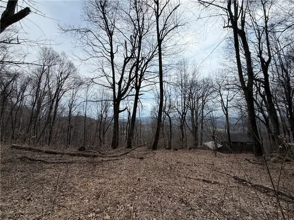 TBD Rocky Mountain Road, Boone, NC 28607