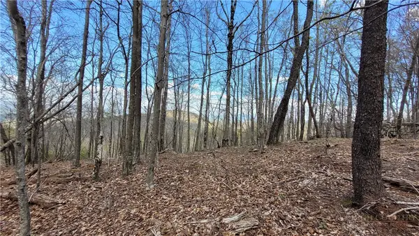 123/126 W Blueberry Lane, Beech Mountain, NC 28604