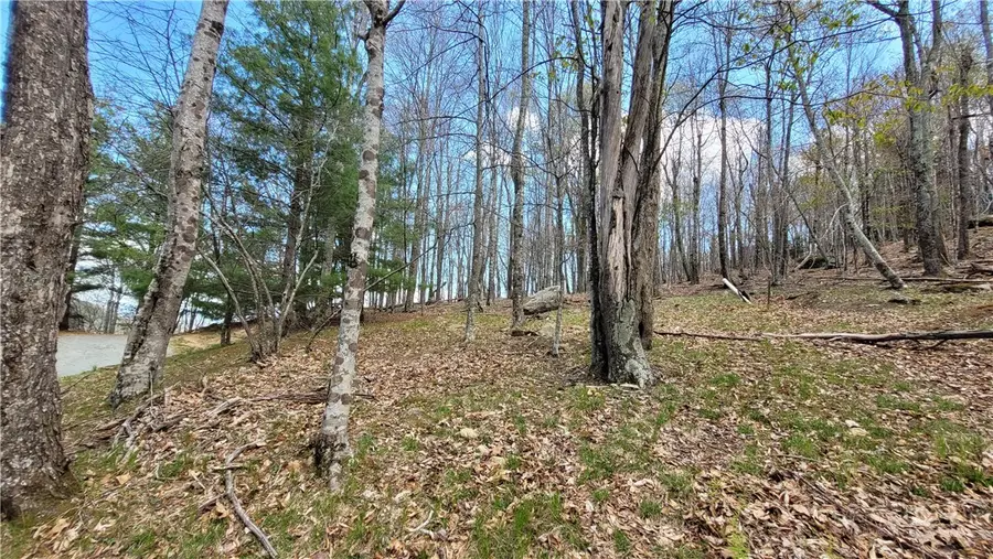 123/126 W Blueberry Lane, Beech Mountain, NC 28604 - #2