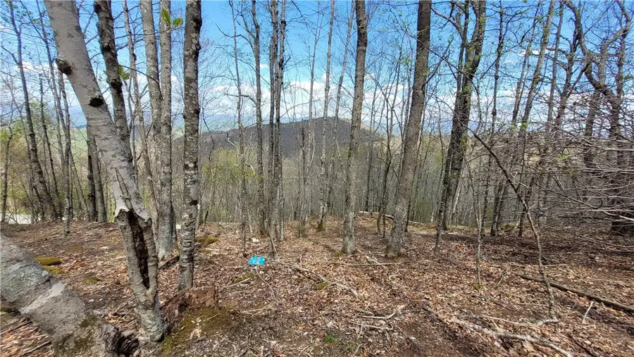 123/126 W Blueberry Lane, Beech Mountain, NC 28604 - #3