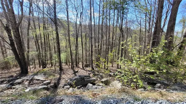 236 Wild Daisy Lane, Beech Mountain, NC 28604