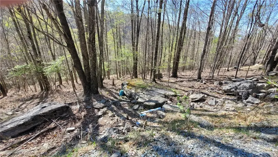 236 Wild Daisy Lane, Beech Mountain, NC 28604 - #2