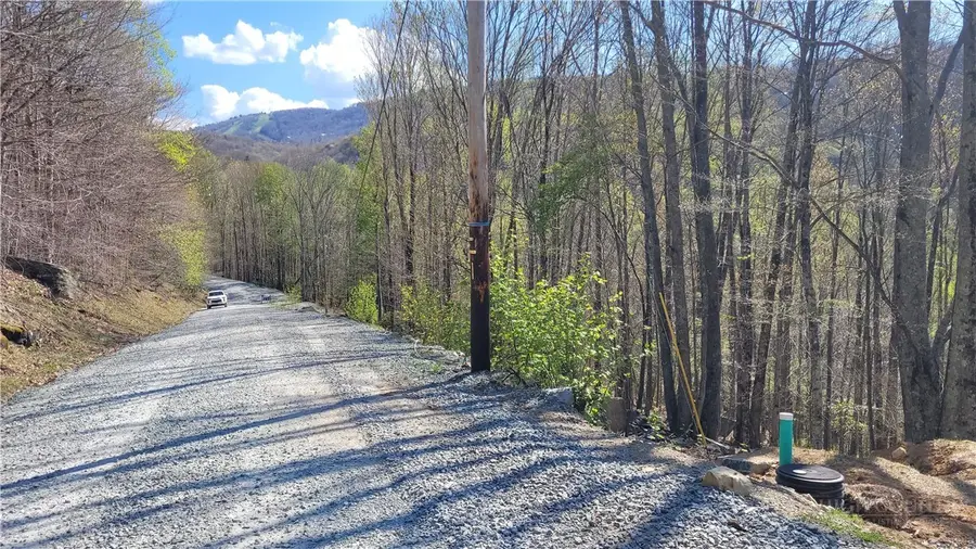 236 Wild Daisy Lane, Beech Mountain, NC 28604 - #3