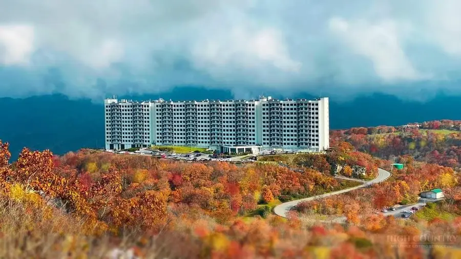 303 Sugar Top Dr Drive #2010, Sugar Mountain, NC 28604 - #3