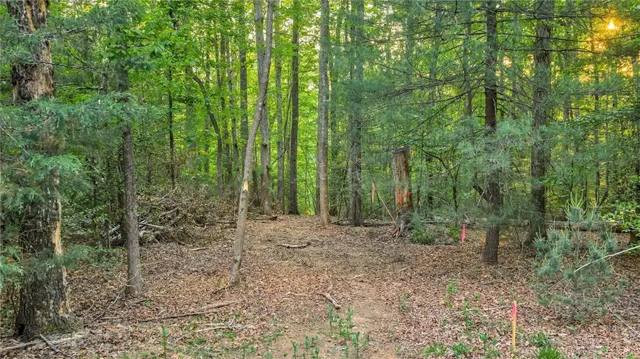 TBD Nicole Street, Wilkesboro, NC 28697 - #2