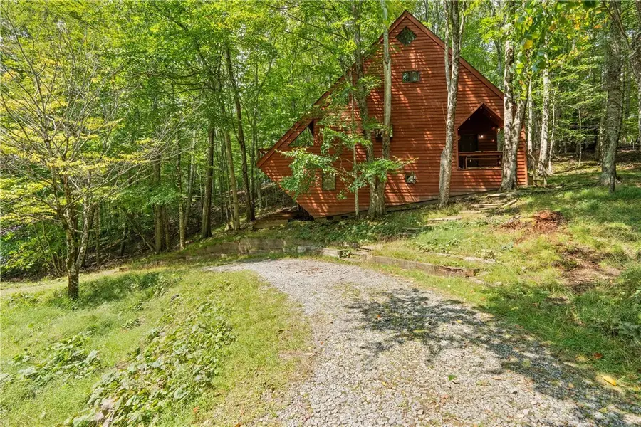 203 Shagbark, Beech Mountain, NC 28604 - #2