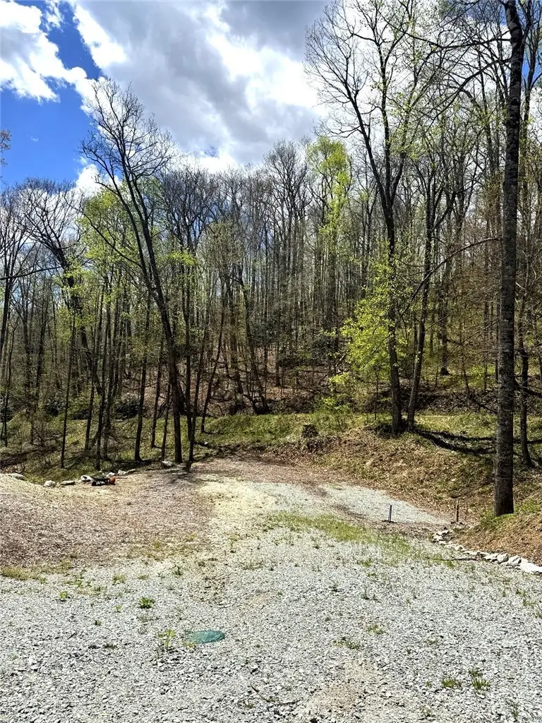 42 Ivy Road, Newland, NC 28657 - #3