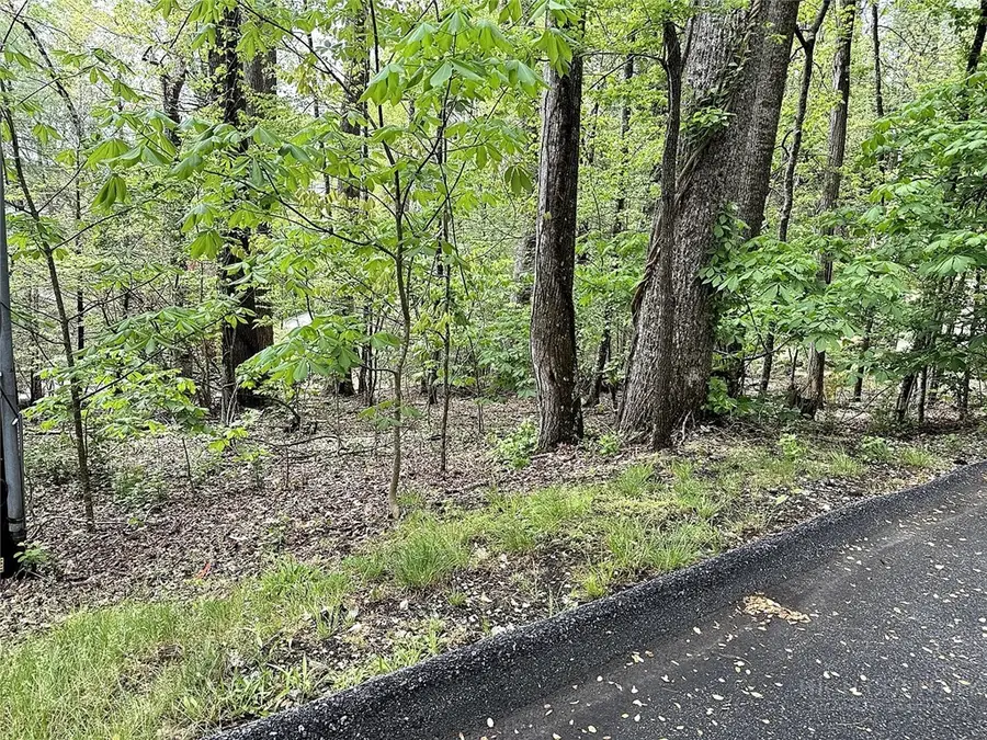 Lot 27 Ash, Boone, NC 28607 - #3