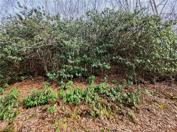 118 Deergrass Road, Beech Mountain, NC 28604