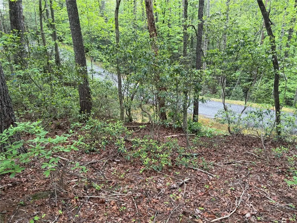 TBD West Ridge Drive, Ferguson, NC 28624 - #1