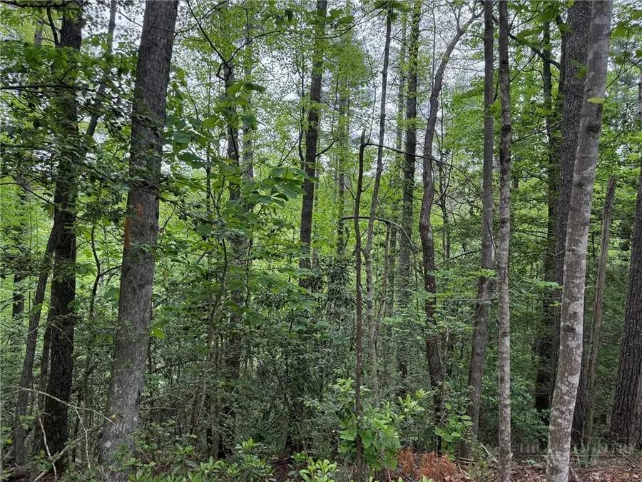 TBD West Ridge Drive, Ferguson, NC 28624 - #3