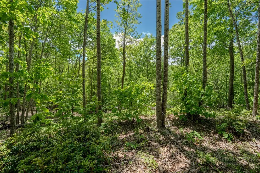0 Beaver Dam Road, Elk Park, NC 28622 - #1