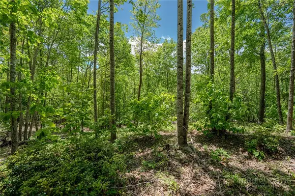 0 Beaver Dam Road, Elk Park, NC 28622
