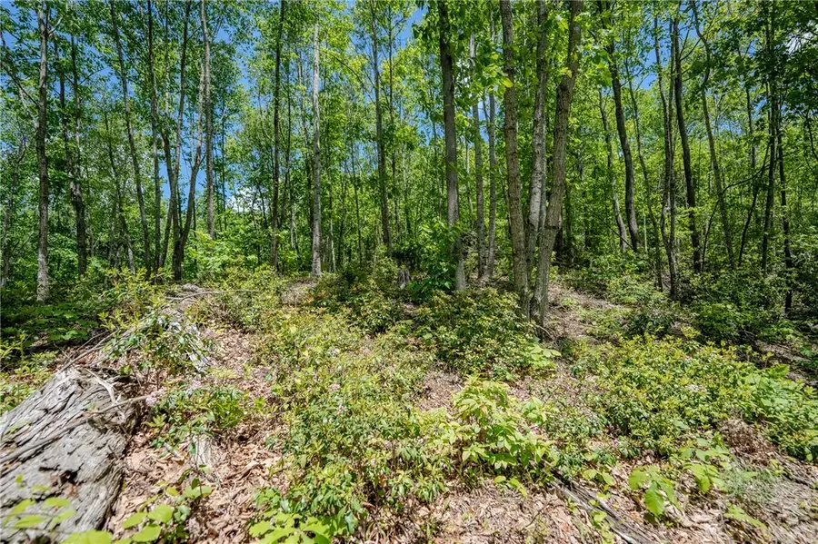 0 Beaver Dam Road, Elk Park, NC 28622 - #3